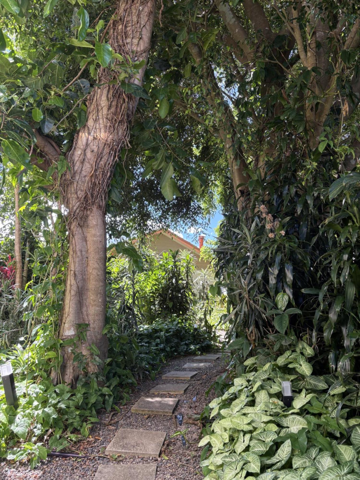 Maleny Terrace Cottages מראה חיצוני תמונה