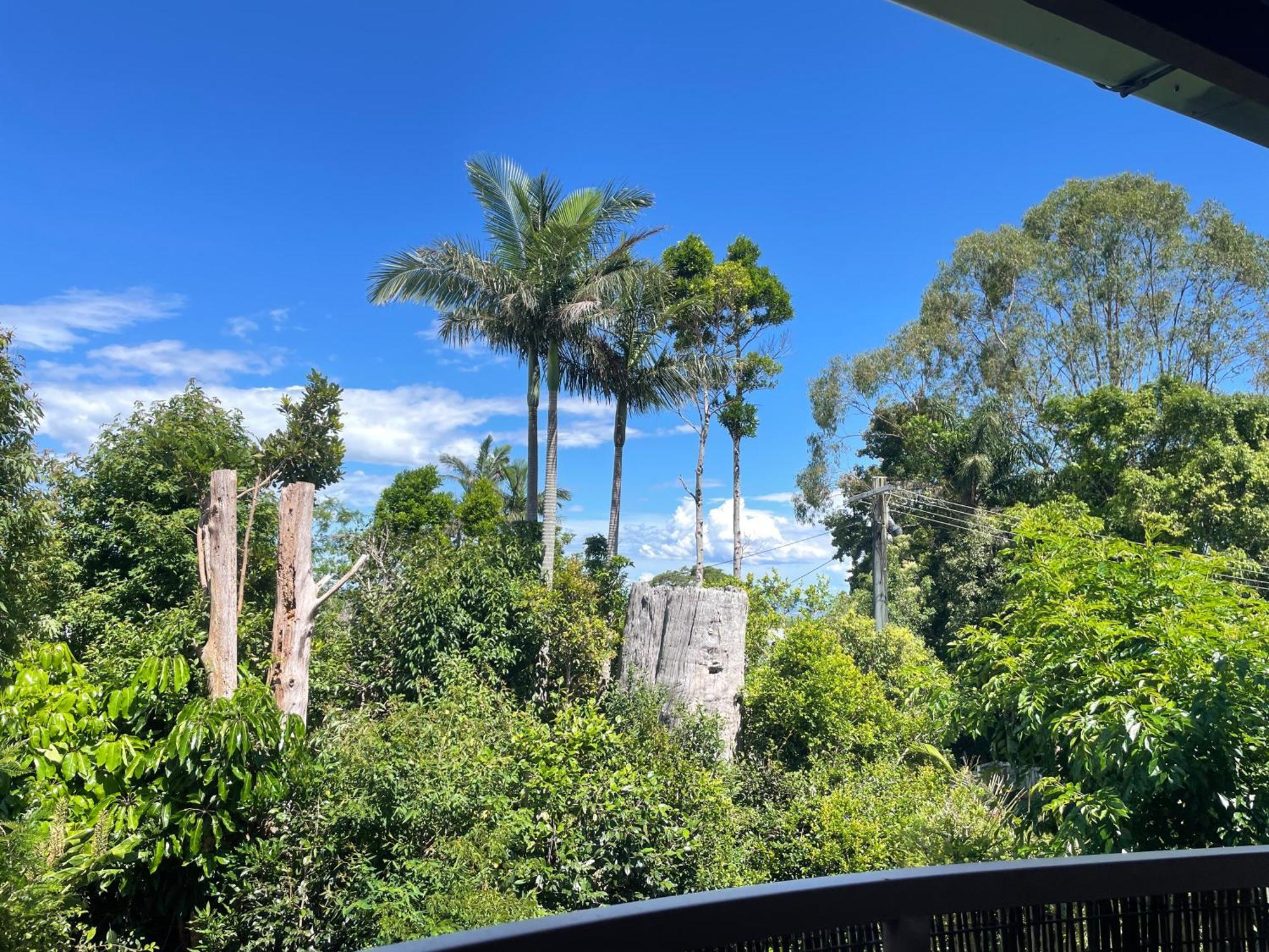 Maleny Terrace Cottages מראה חיצוני תמונה